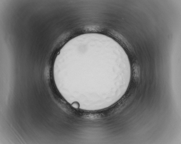 X0000112500738200909141224