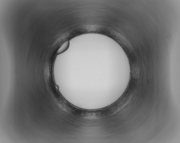 X0000112500740200909141224