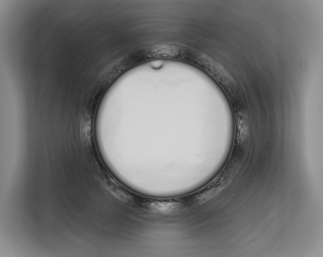 X0000112500745200909141224