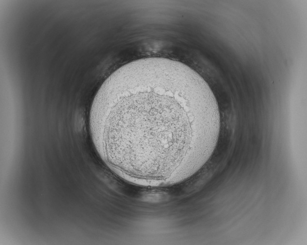 X0000112500754200909141224