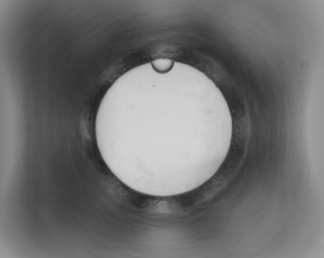 X0000112500755200909141224