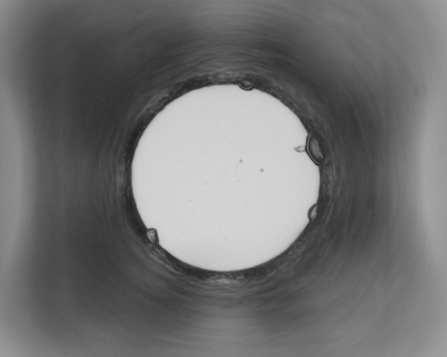 X0000112500756200909141224