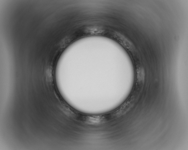 X0000112500757200909141224