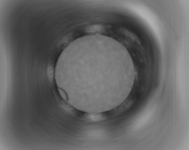 X0000112500767200909141224