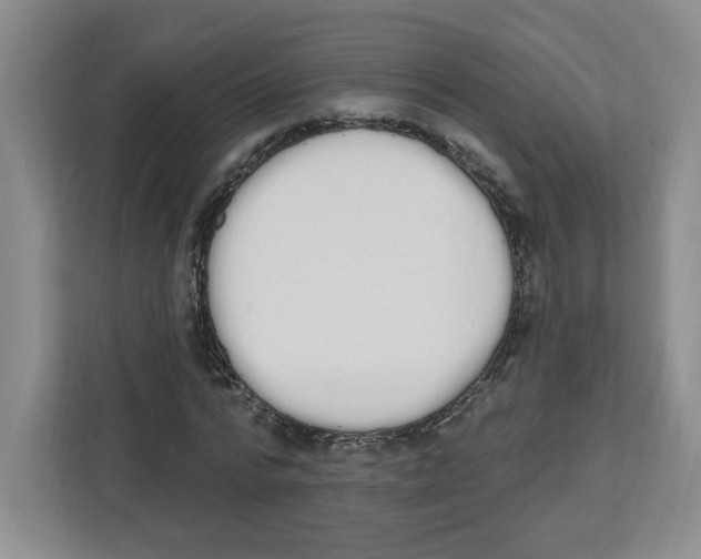 X0000112500776200909141223