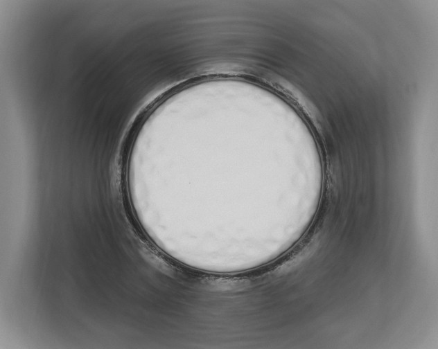 X0000112500779200909141223