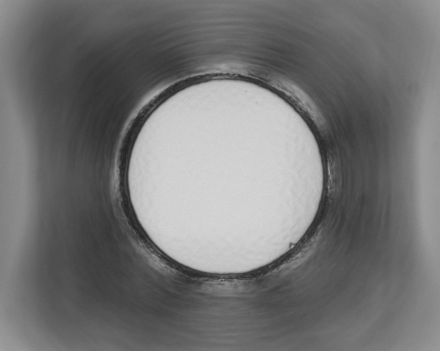 X0000112500780200909141223