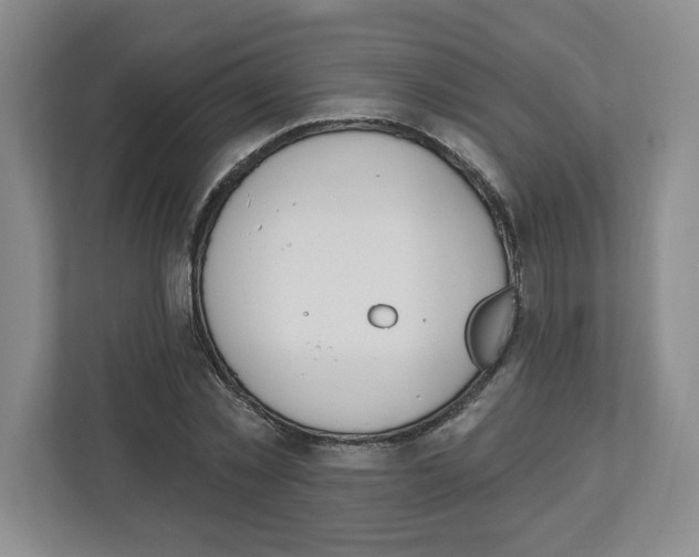 X0000112500781200909141223