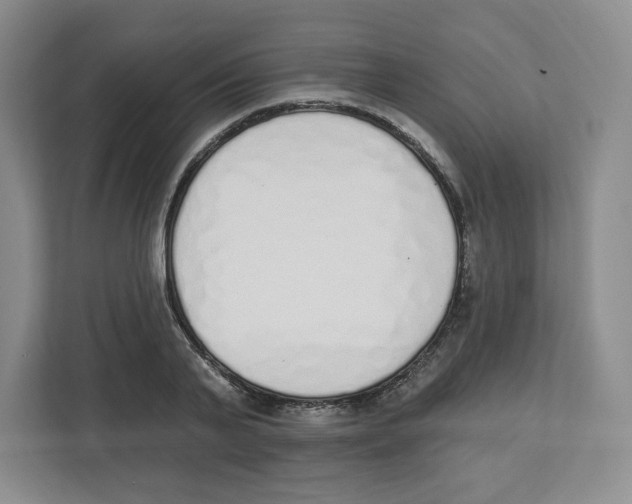 X0000112500791200909141223