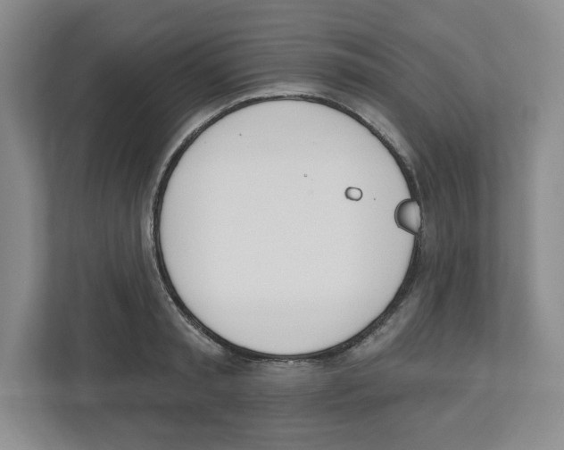 X0000112500797200909141223