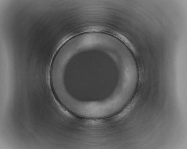 X0000112500802200909141223