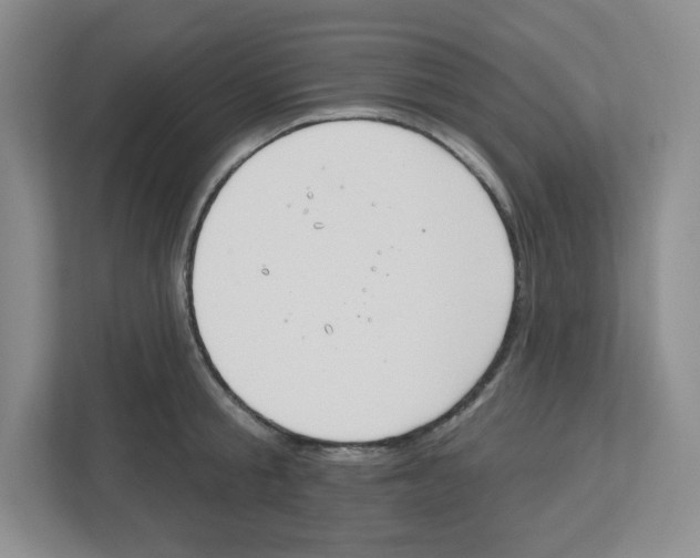 X0000112500805200909141223