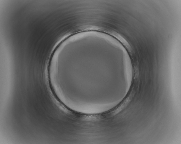 X0000112500806200909141223