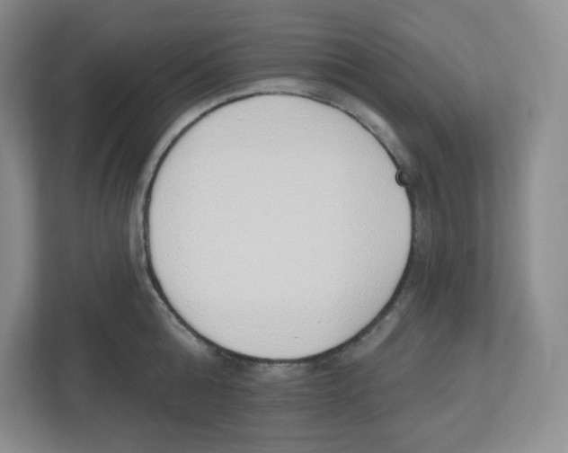 X0000112500808200909141223