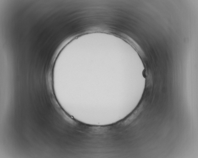 X0000112500812200909141223