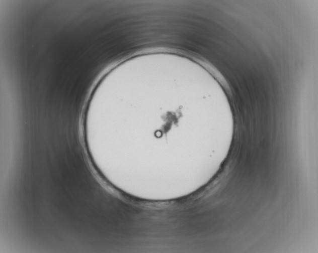 X0000112500813200909141223