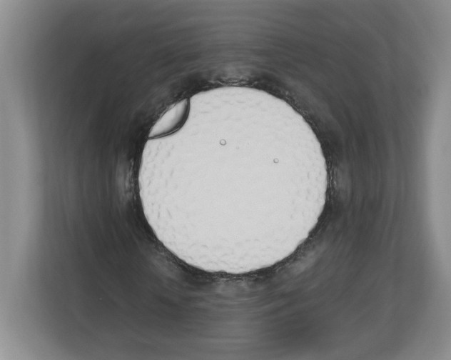 X0000112500818200909141222