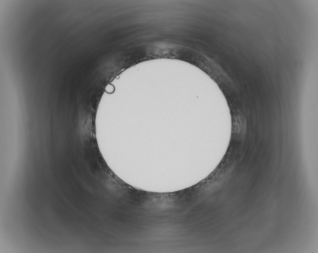 X0000112500820200909141222