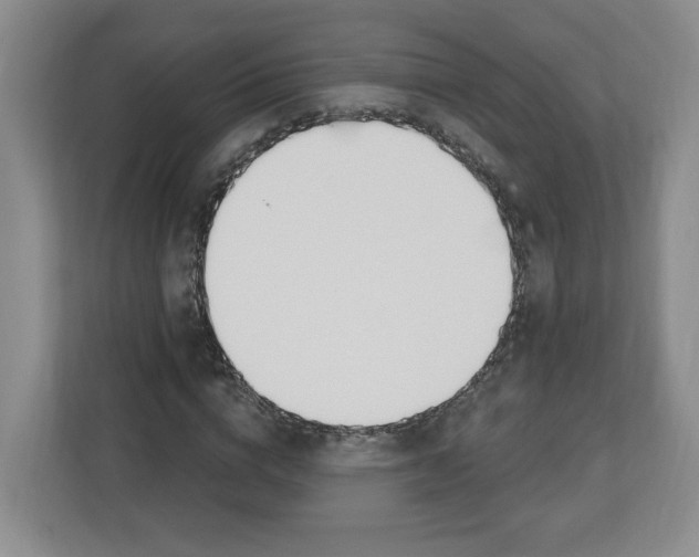 X0000112500824200909141222