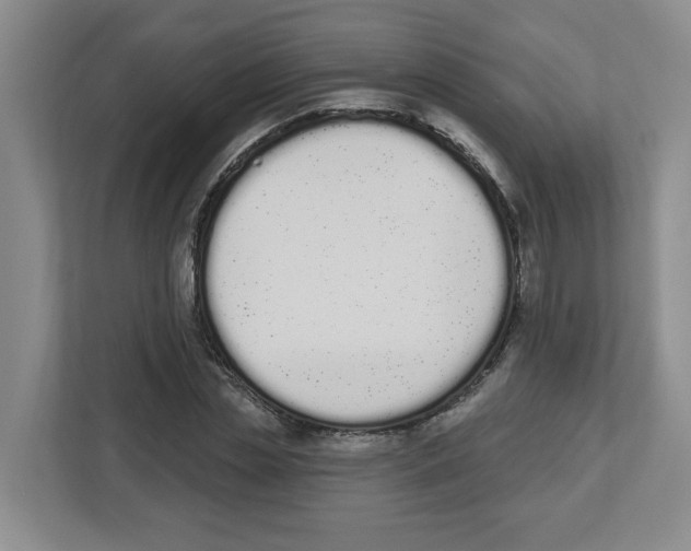 X0000112500829200909141222