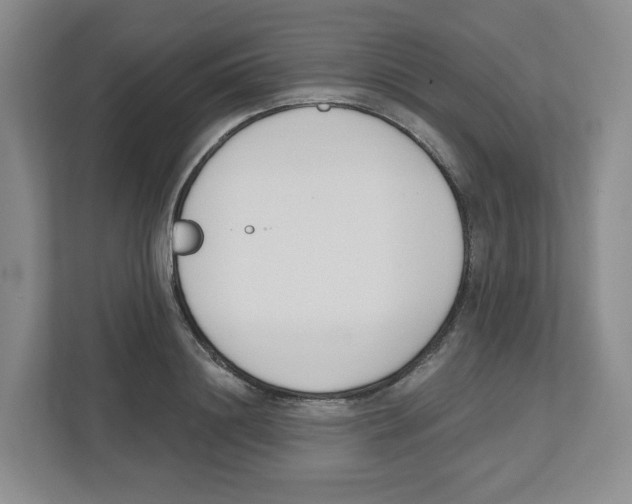 X0000112500844200909141222