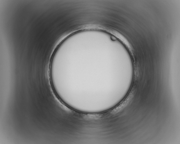 X0000112500847200909141222