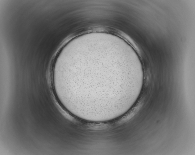 X0000112500851200909141222