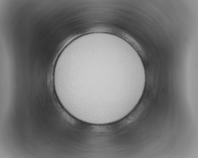 X0000112500852200909141222