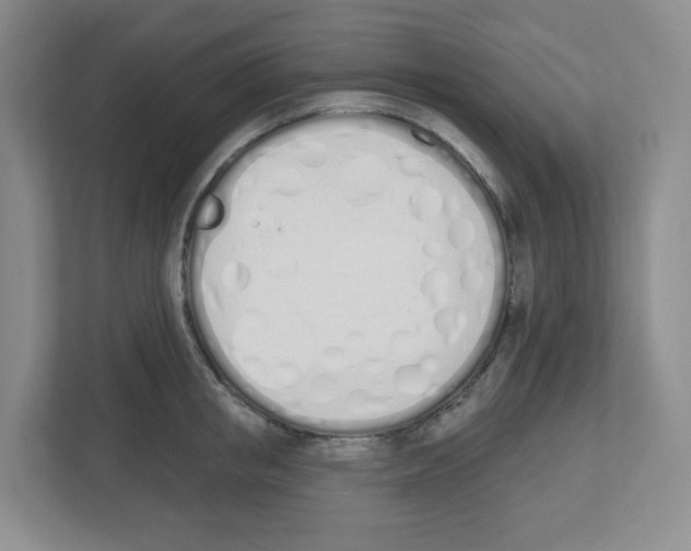 X0000112500853200909141223