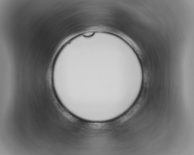 X0000112500854200909141223