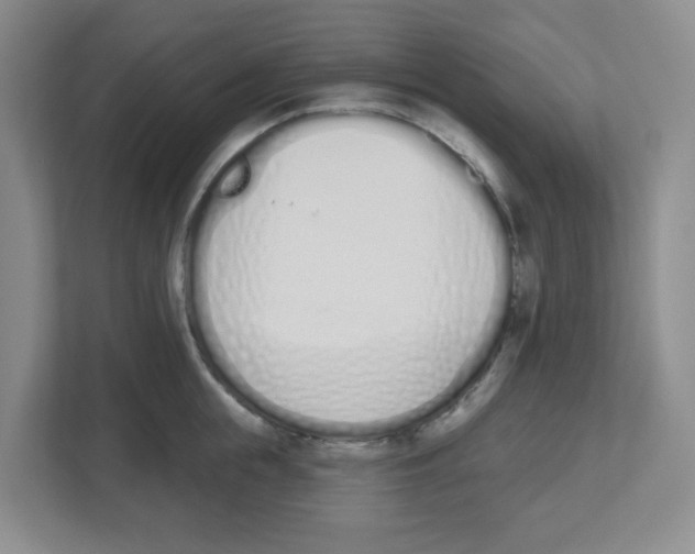 X0000112500855200909141223