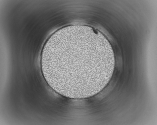 X0000112500856200909141223