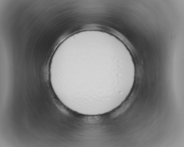 X0000112500858200909141223