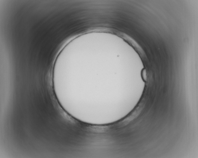 X0000112500860200909141223