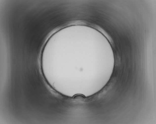 X0000112500861200909141223