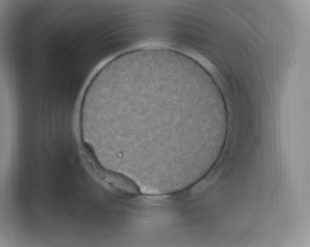 X0000112500864200909141223