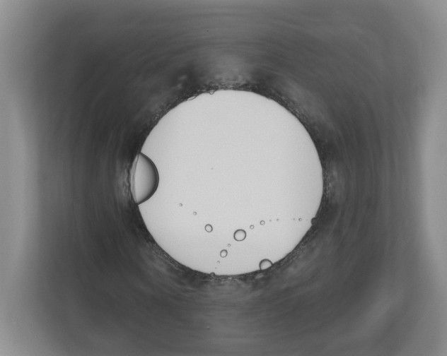 X0000112500866200909141222