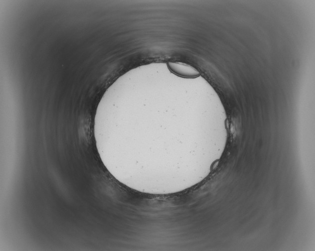 X0000112500867200909141222