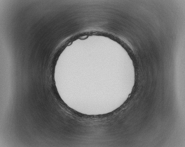 X0000112500872200909141222