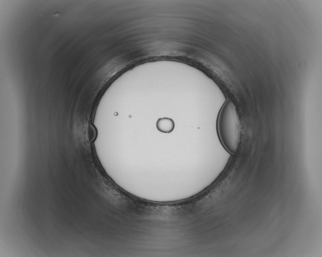 X0000112500881200909141222