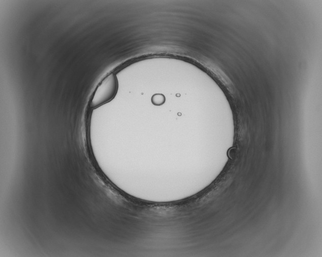 X0000112500888200909141222