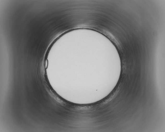 X0000112500892200909141222