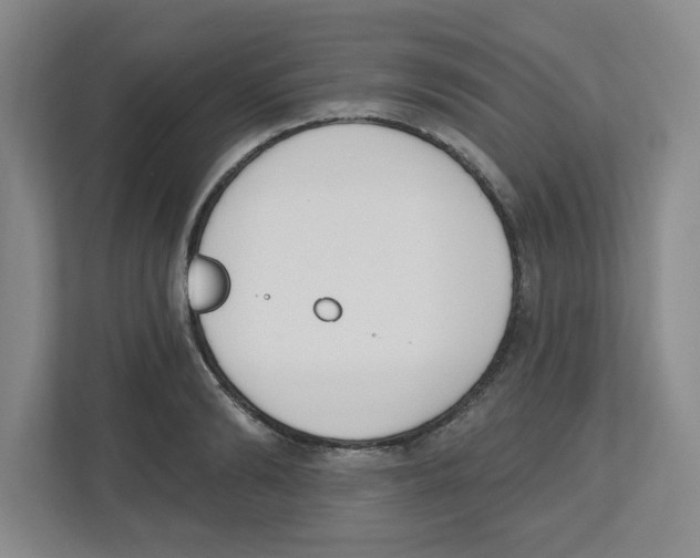 X0000112500894200909141222