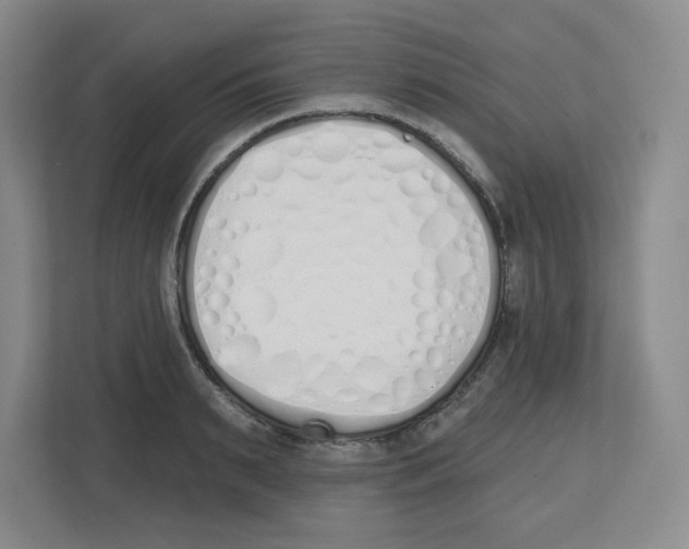 X0000112500895200909141222