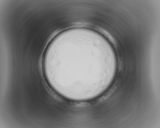 X0000112500899200909141222