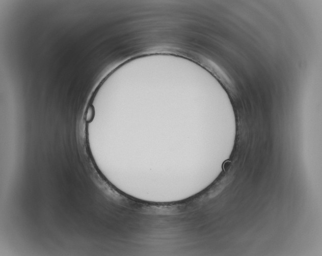 X0000112500900200909141222