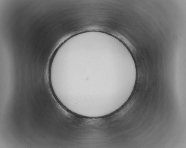 X0000112500902200909141222