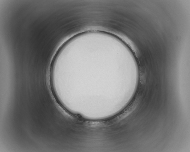 X0000112500903200909141222