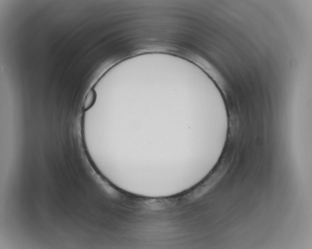 X0000112500906200909141221