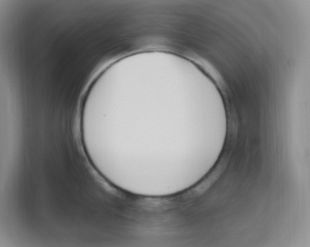 X0000112500910200909141221